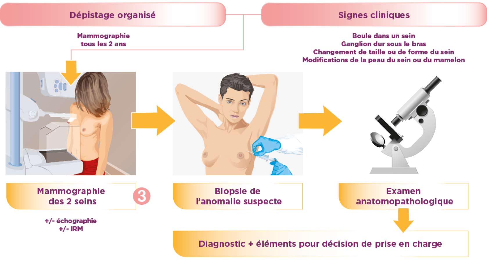 Diagnostic-3